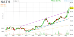 nath_daily_finviz_small_20130515